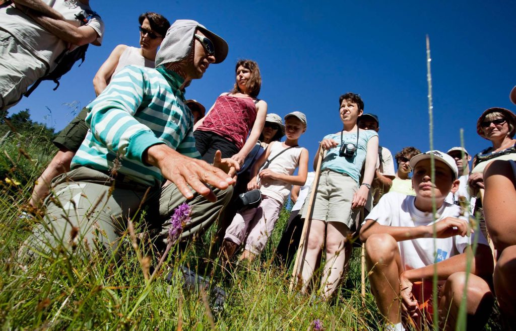 Randonnée plantes insolites Maurienne