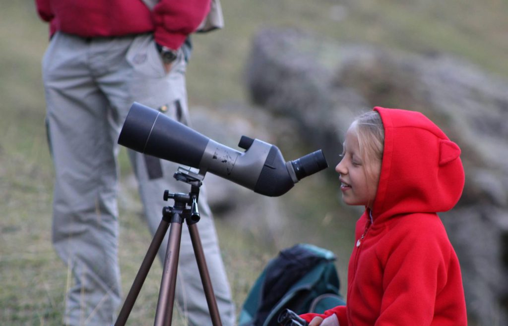 Photo randonnée safari faune au crépuscule